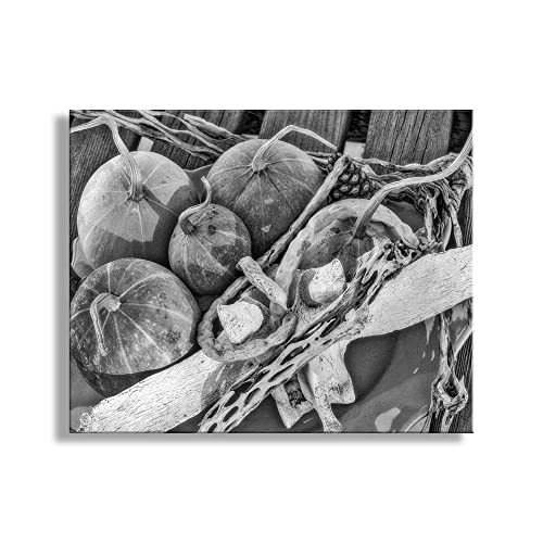 Натюрморт с тиква Югозападна фотоарт в черно и бяло изпълнението на