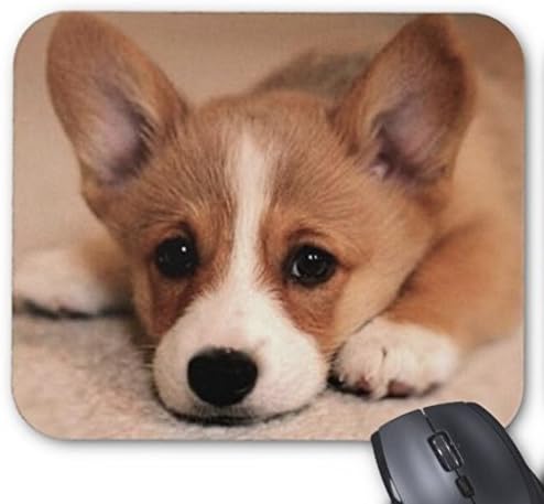 (Подложка за мишка) лисаКим Очарователен Кученце Corgi Офис и Слот Правоъгълна Подложка За Мишка Продава се Yanteng