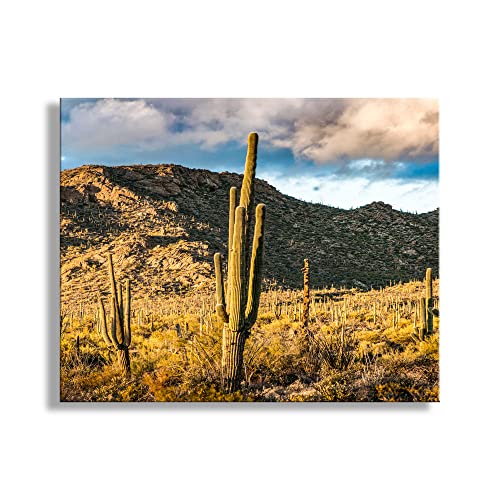Снимка, Пейзаж Планински парк Tucson
