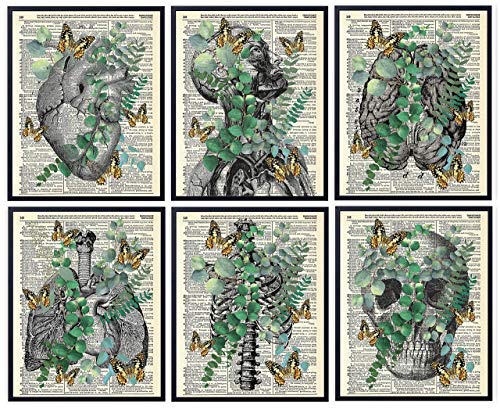 Анатомия с эвкалиптом и пеперуди, Ретро Арт Принт с речника, Съвременно Монтиране на изкуството За домашен интериор, Плакат с принтом
