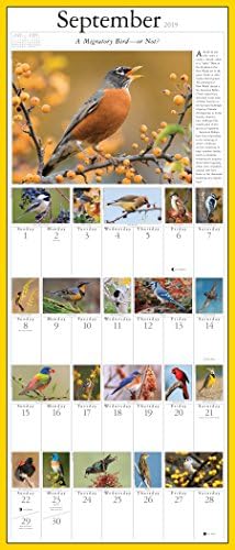 Календар със снимки на Пойни птици Одюбона и Други Двора на птиците до 2019 година