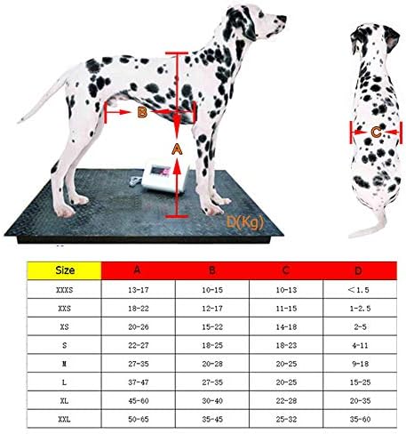 HXSM Регулируема Инвалидна Количка за Кучета на две Колела, Количка за рехабилитация на домашни любимци с увреждания на Задните