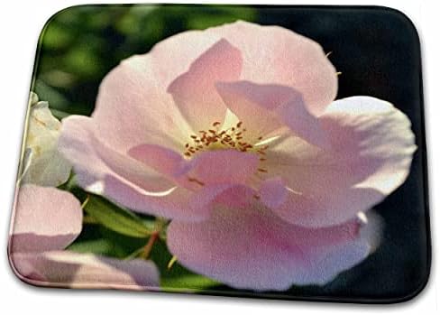 3дРозы Лятна Розова роза Макро Романтични цветя Цвете... - Постелки за баня (rug-30364-1)